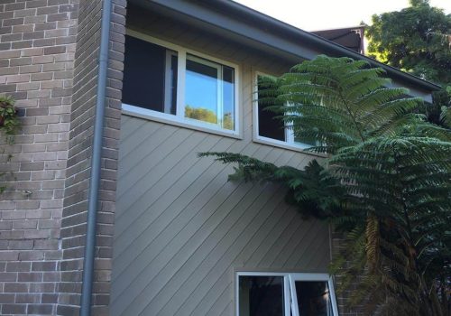 A house with windows and ferns on the side.