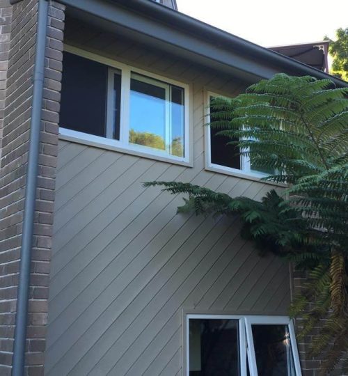 A house with windows and ferns on the side.